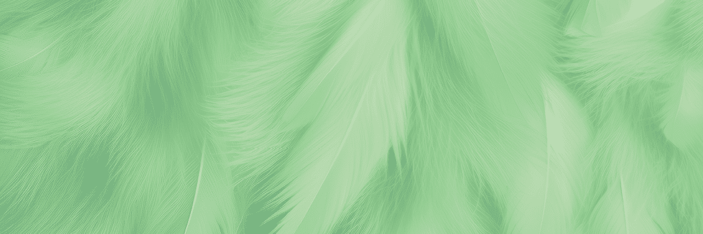 Beautiful Fluffy Green Feather Abstract Feather Background
