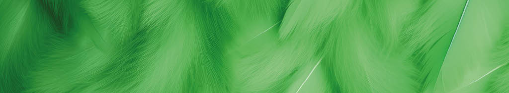 Beautiful Fluffy Green Feather Abstract Feather Background