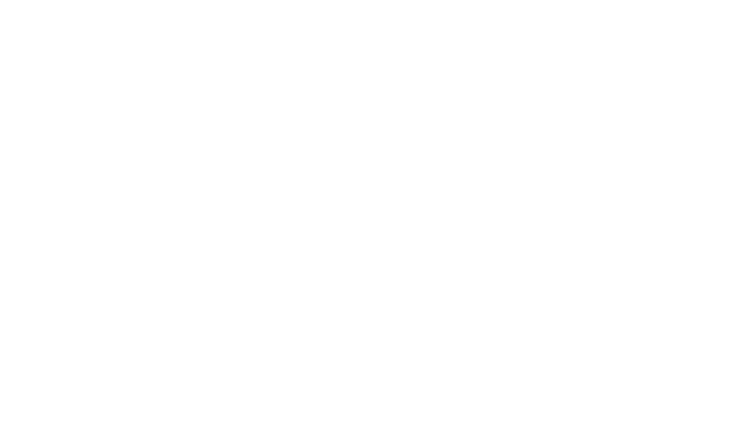 “Balora calidad, autenticidad y responsabilidad”