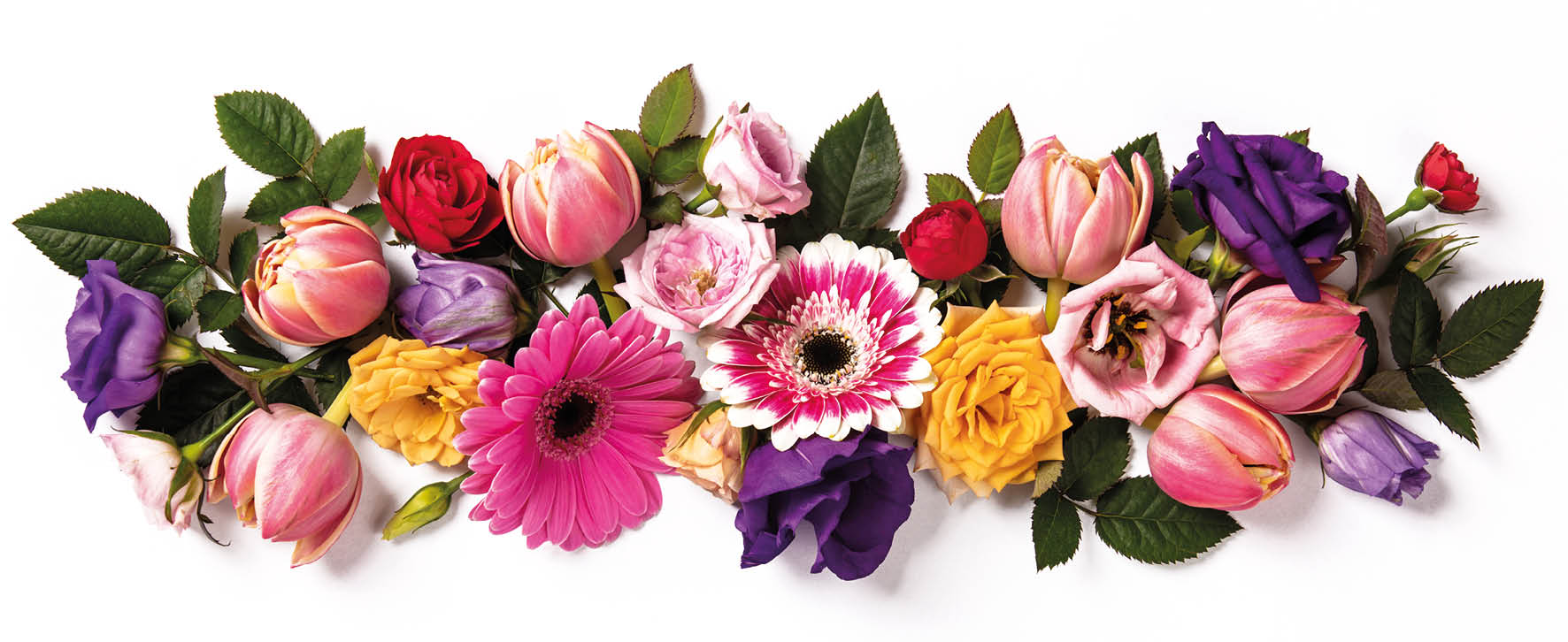 Creative layout made with beautiful flowers on white background. Flat lay. Spring minimal concept. Flat lay composition for entrepreneurs, bloggers, magazines, websites, social media and instagram