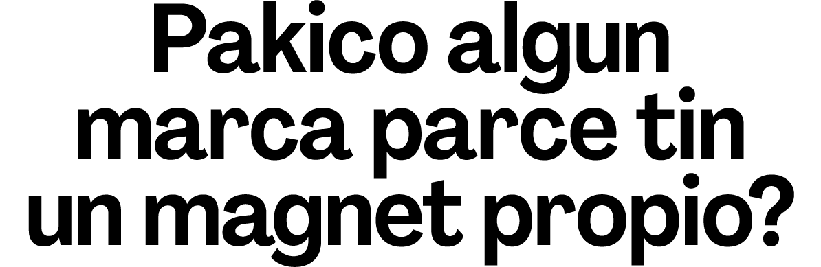 Pakico algun marca parce tin un magnet propio? 