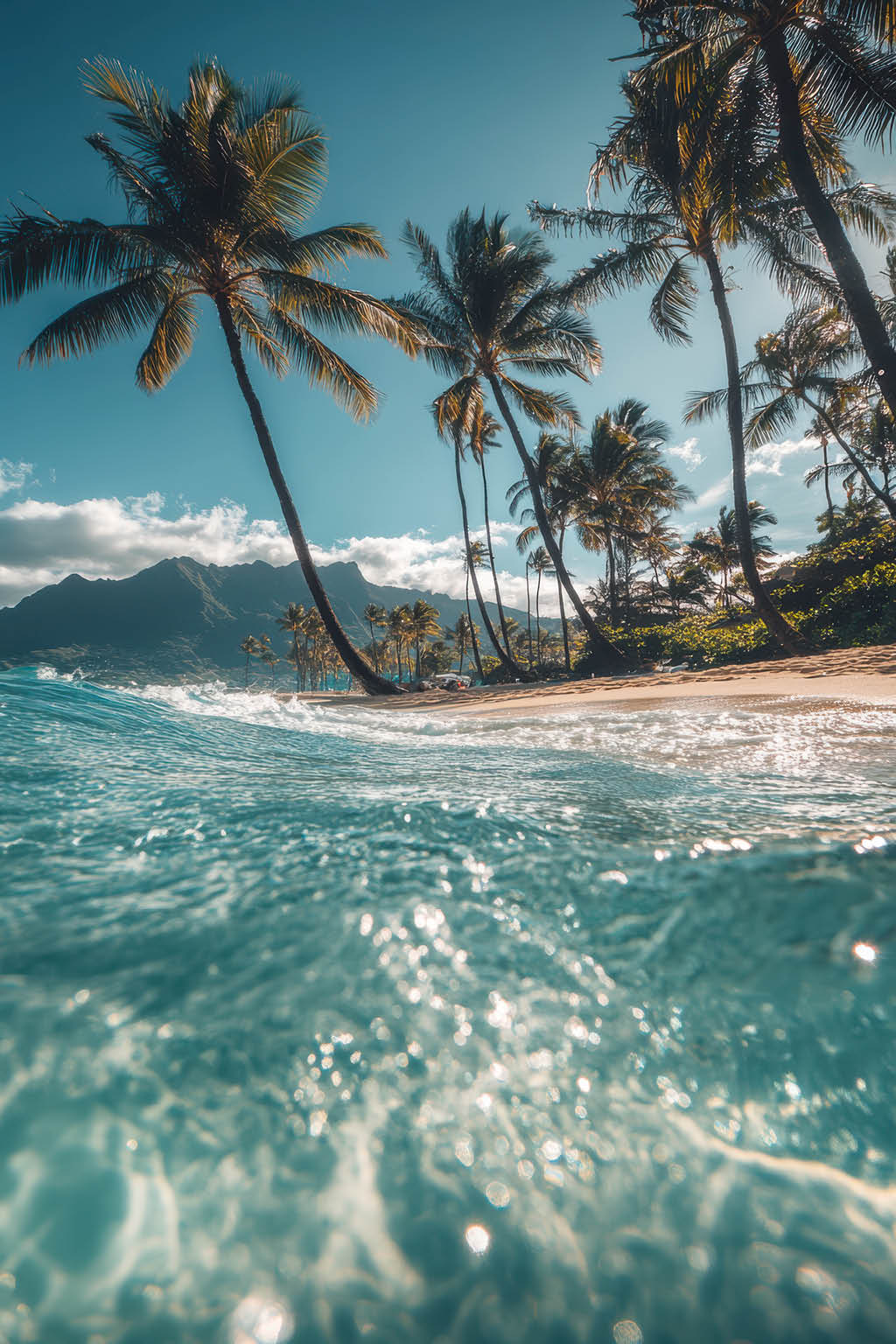 cinematic style, hawaii beach, a beautiful beach with palm trees photographed on an underwater photo camera, waves up close, 50mm --ar 2:3 --style raw --stylize 200 Job ID: b991ed30-1671-499b-a5bf-740d8ab4a1c2