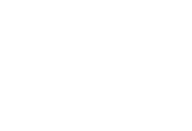  ina