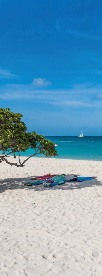 A horizontal shot of the beautiful view of the beach and sea, with towels laid out under a tree in Aruba