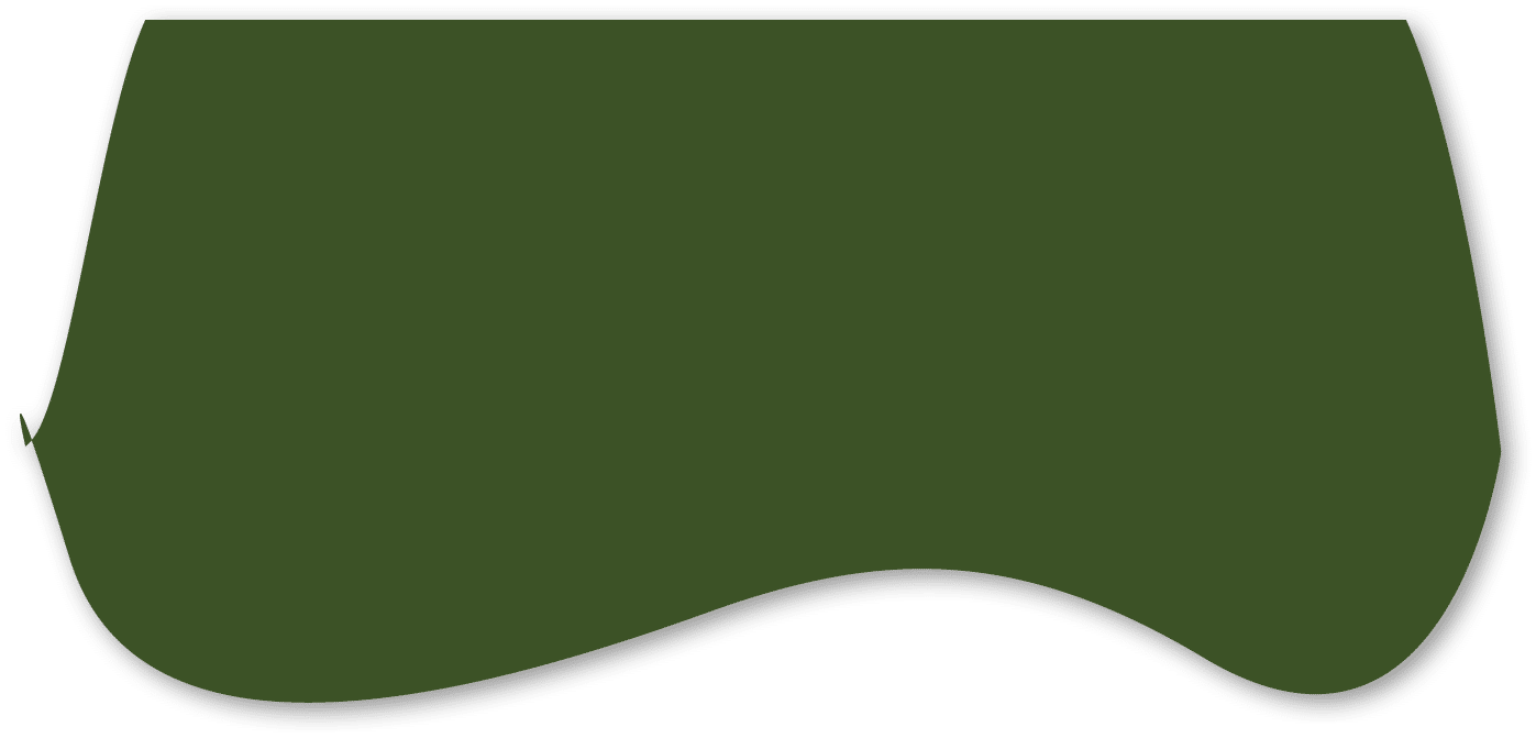 Polygon