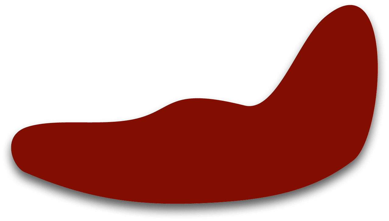 Polygon