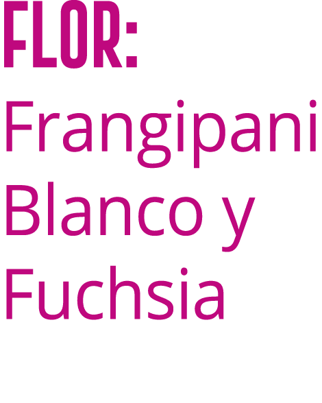 Flor: Frangipani Blanco y Fuchsia 