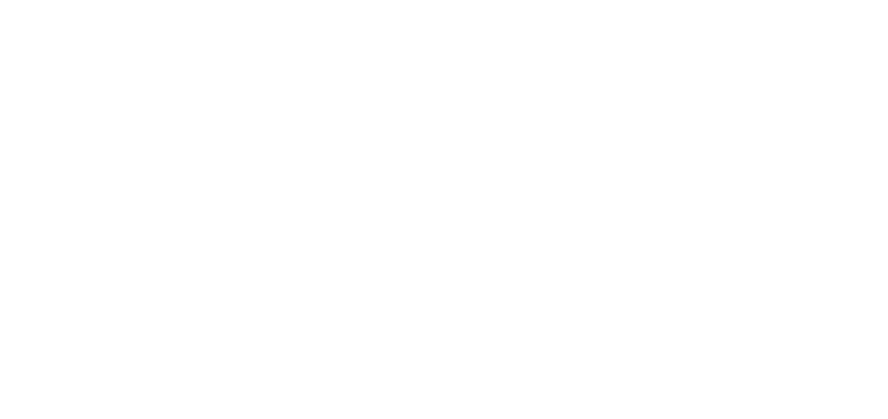 E celebro ta y esun cu si a papia su idioma visual ta logra destaca sin mester grita