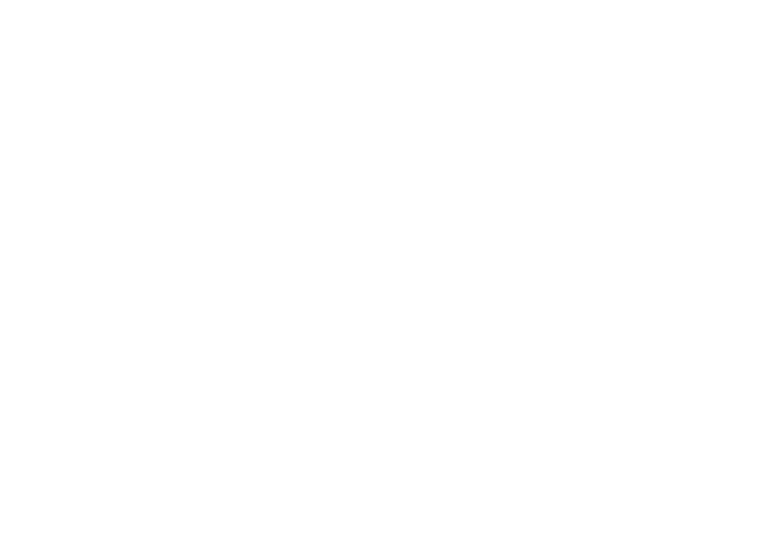 Un Experiencia Elegante, Luhoso y Completo” 